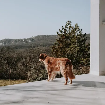 Suqo Vendeghaz Vakantiehuis