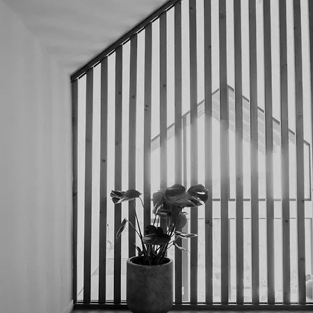 Suqo Vendeghaz * Sukoró